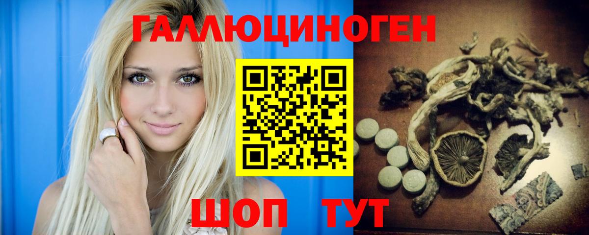 Галлюциногенные грибы прущие грибы Чернушка